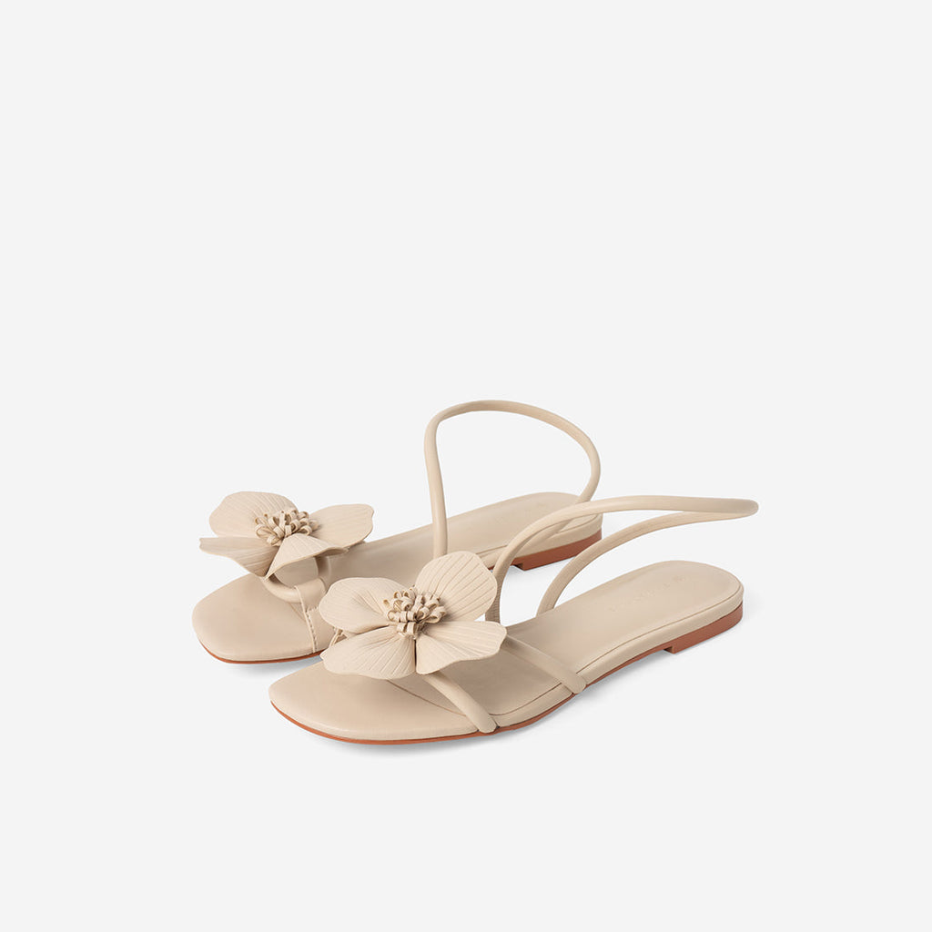 Latte Beige