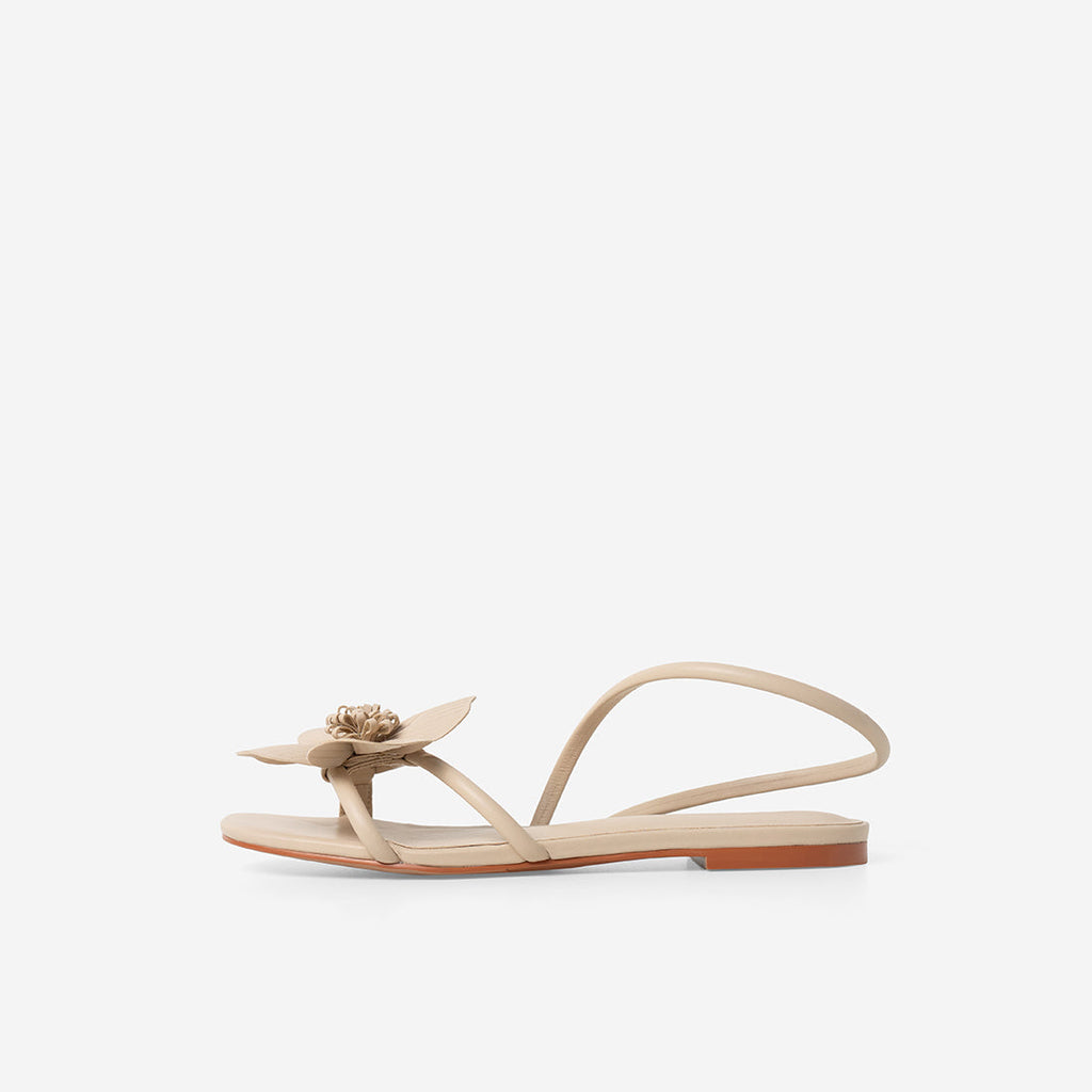 Latte Beige
