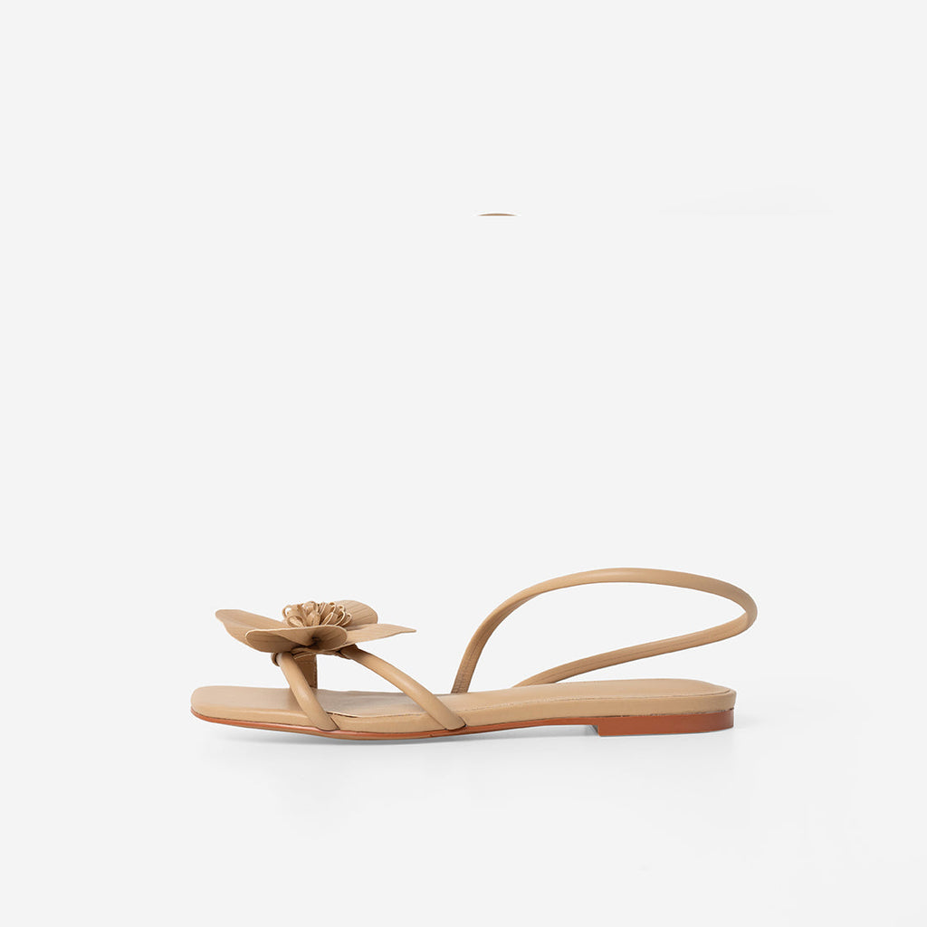 Latte Brown